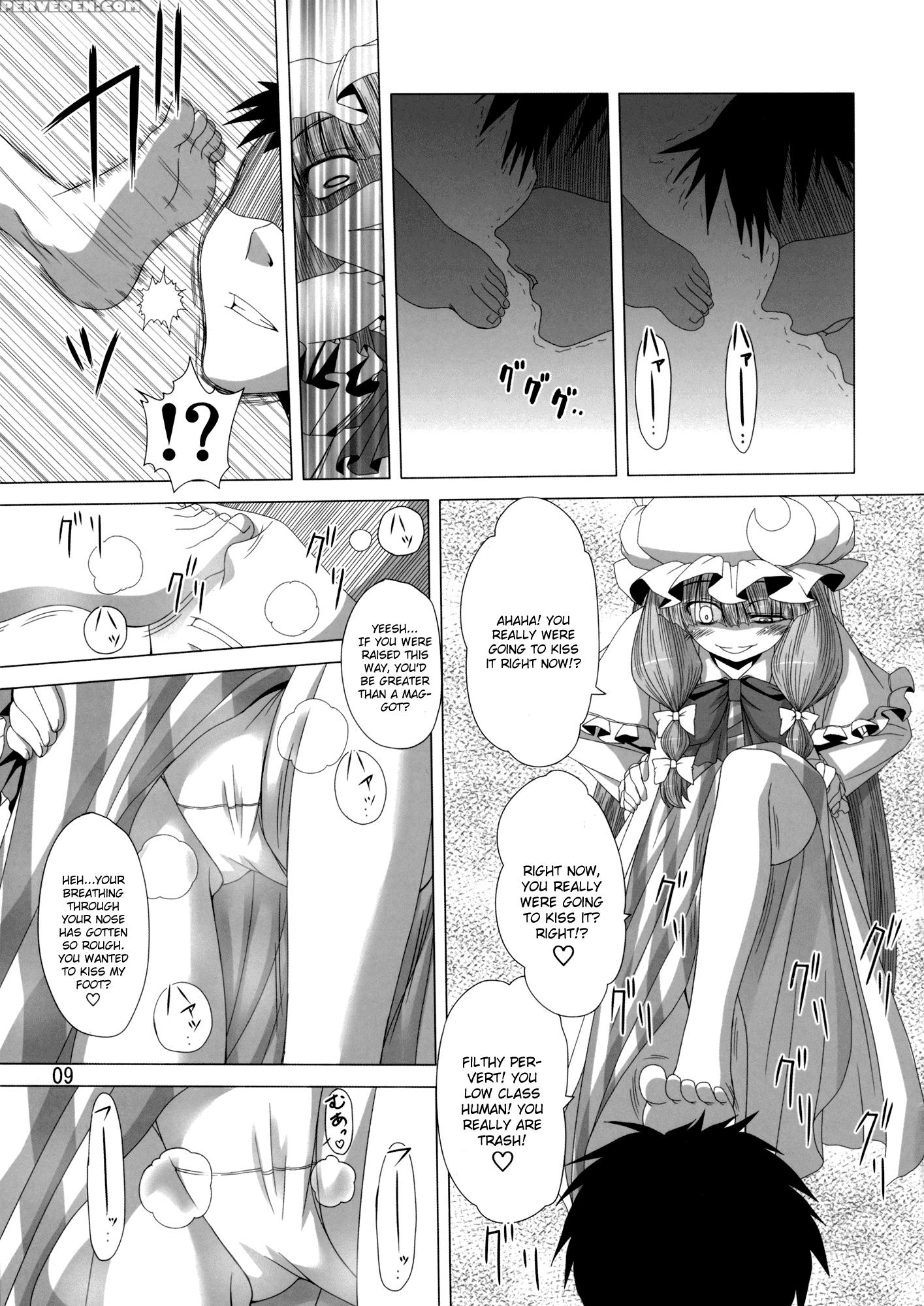 A Book Where Patchouli And Satori Look Down On You With Disgust - Touhou 1