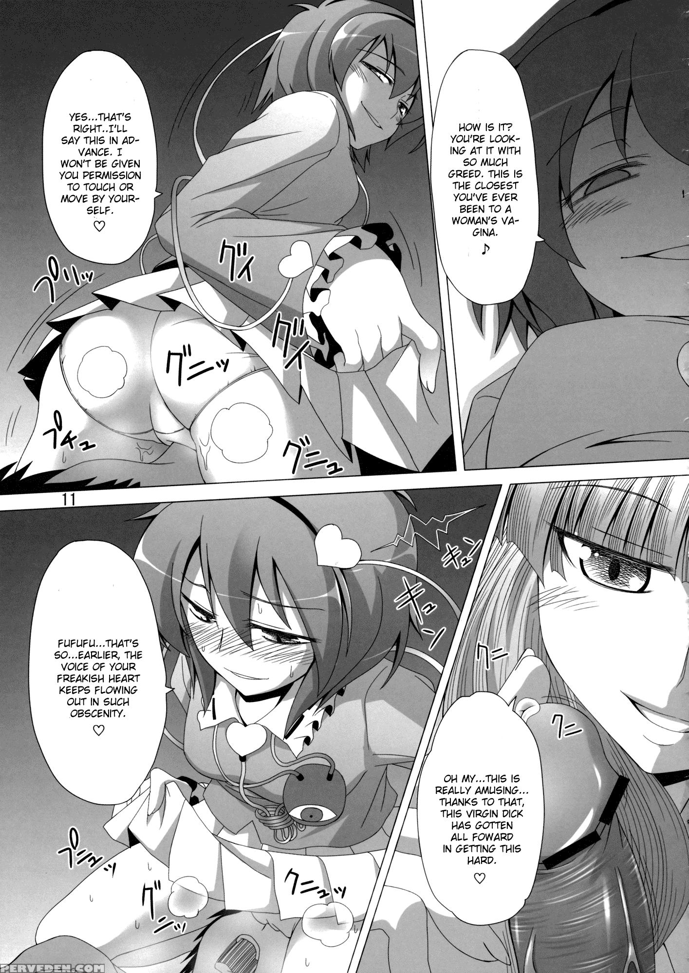 A Book Where Patchouli And Satori Look Down On You With Disgust - Touhou 1