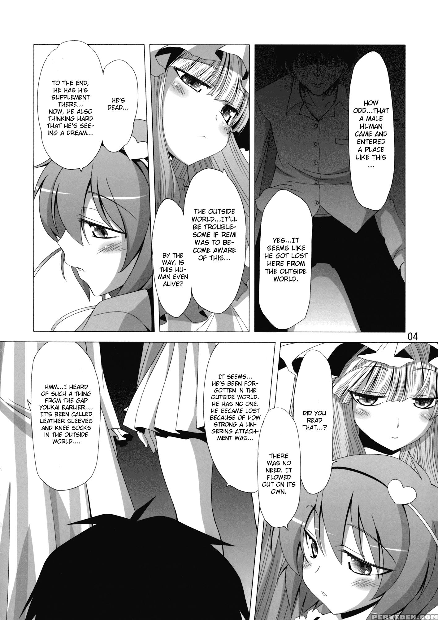 A Book Where Patchouli And Satori Look Down On You With Disgust - Touhou 1