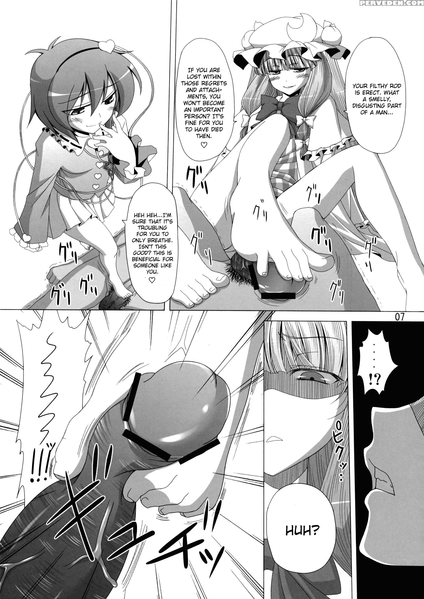 A Book Where Patchouli And Satori Look Down On You With Disgust - Touhou 1