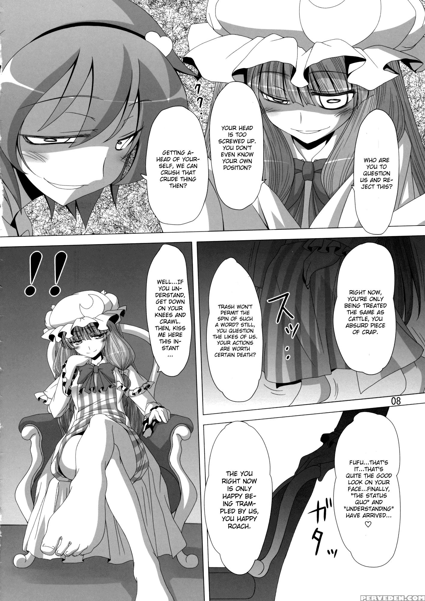 A Book Where Patchouli And Satori Look Down On You With Disgust - Touhou 1