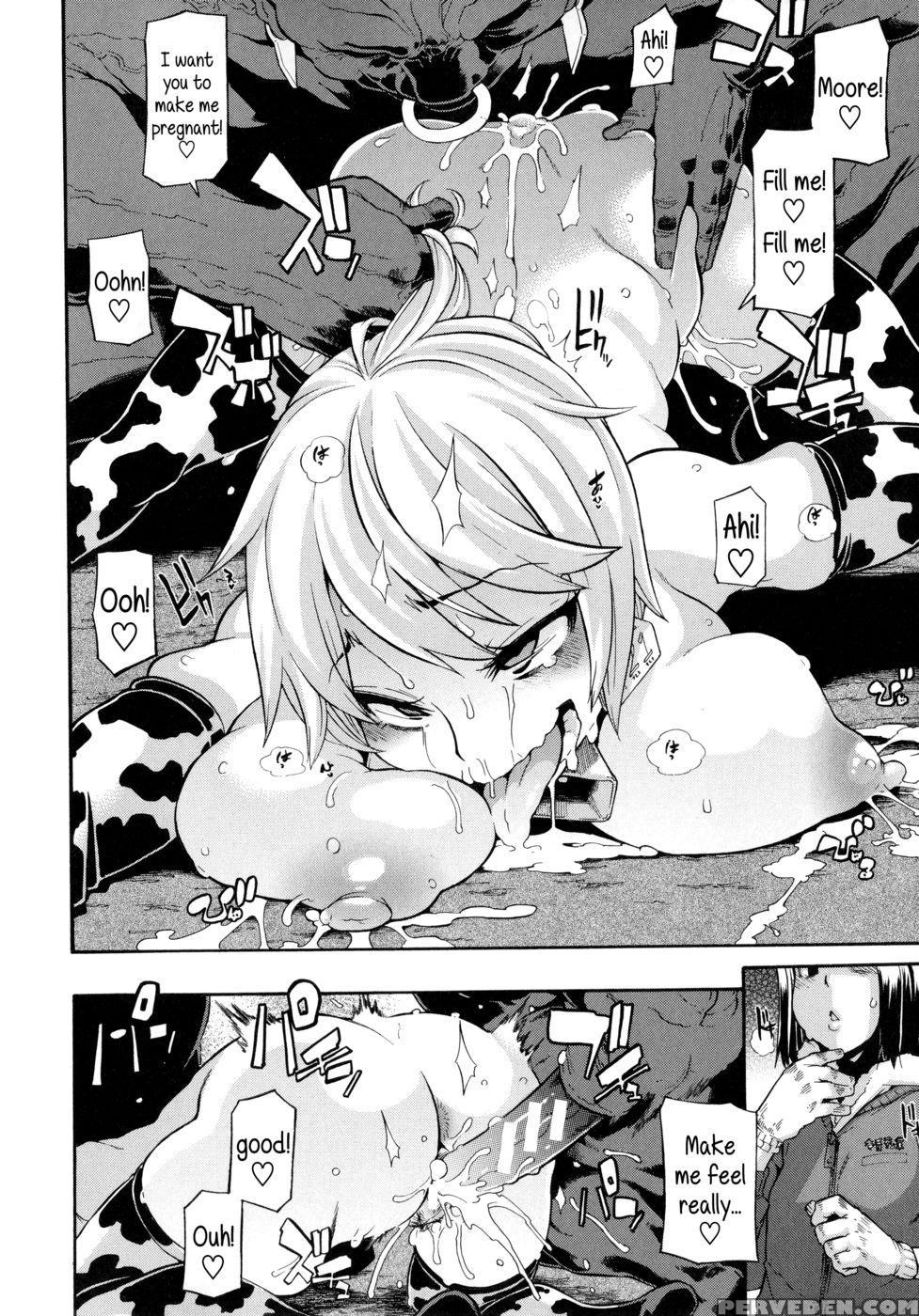 A Dairy Cow's Life 1