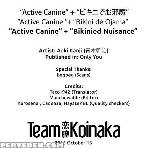 Active Canine + Bikinied Nuisance - Aoki Kanji Chapter 1 Page 17