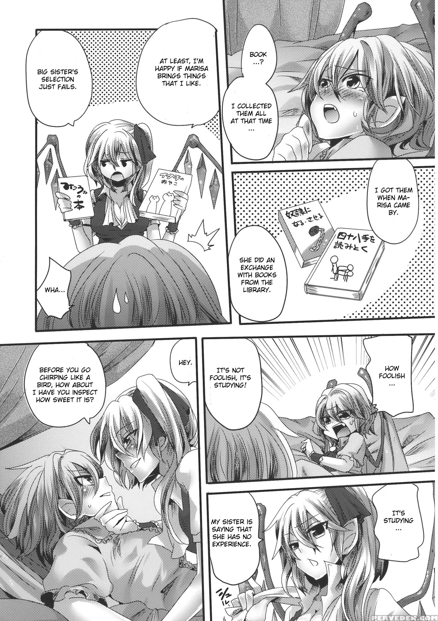 Adult Transformation Flanremi Book - Touhou 1