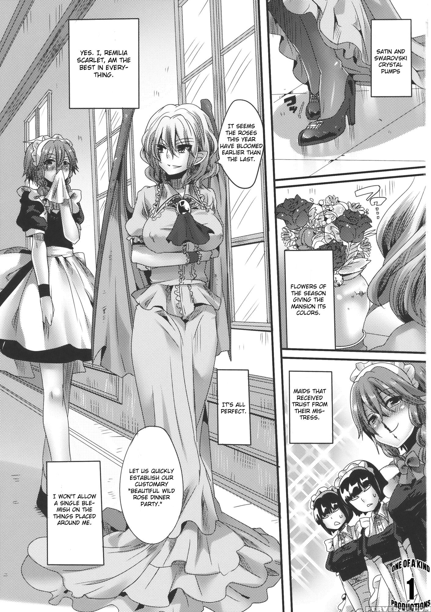 Adult Transformation Flanremi Book - Touhou 1