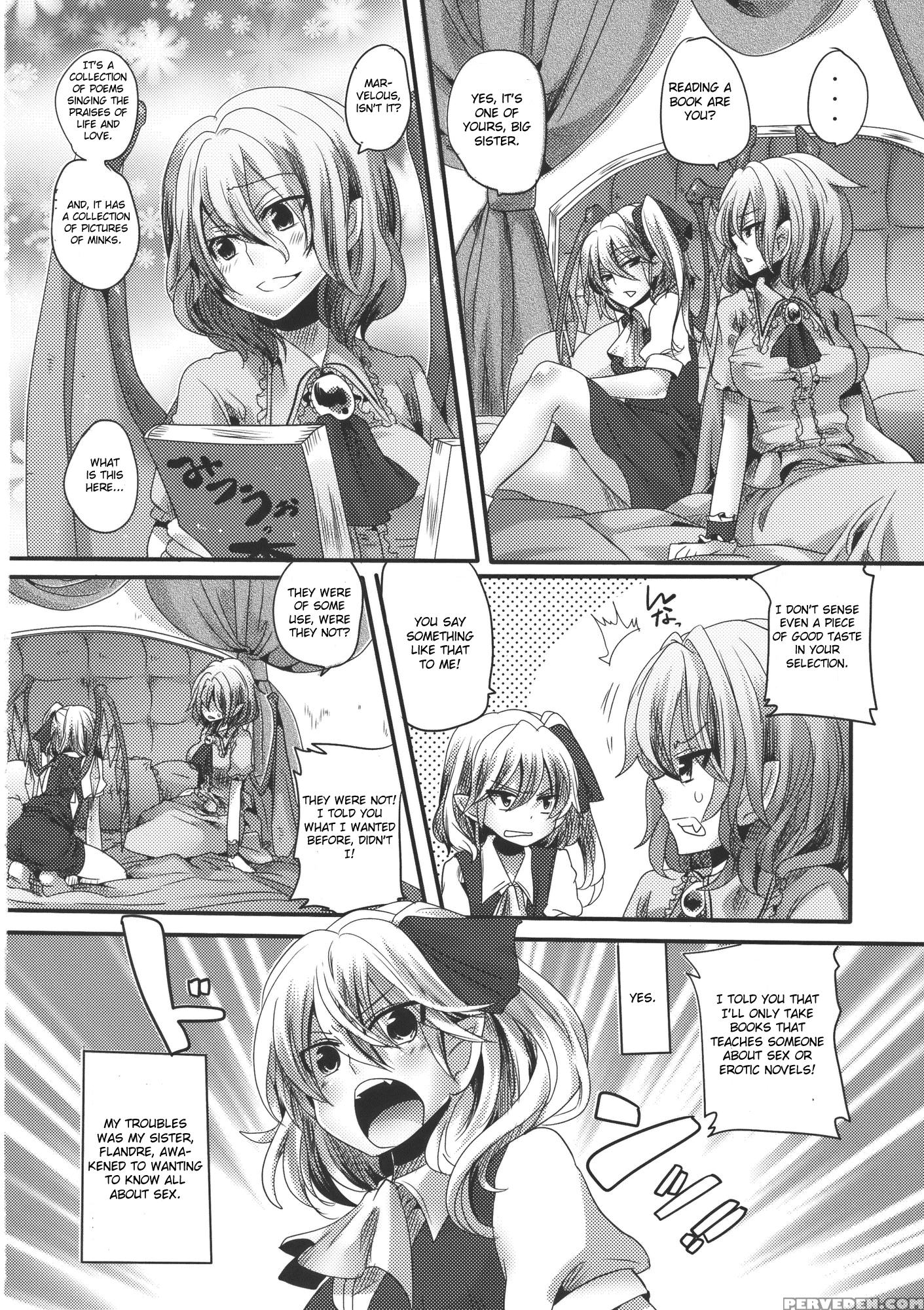 Adult Transformation Flanremi Book - Touhou 1