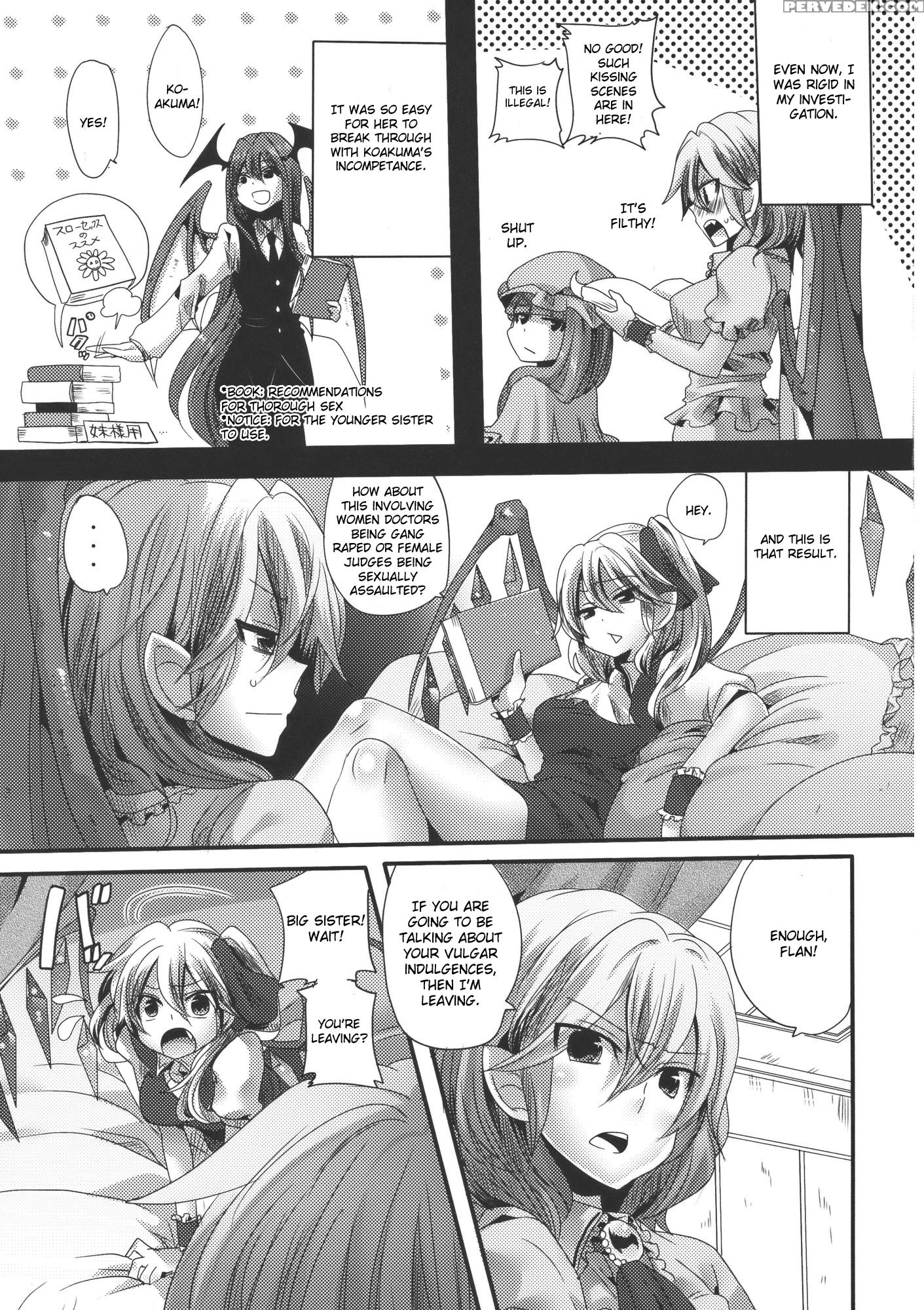 Adult Transformation Flanremi Book - Touhou 1