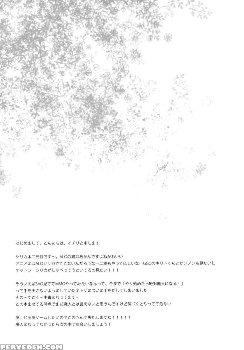 Alfheim Offline - Silica Route 1
