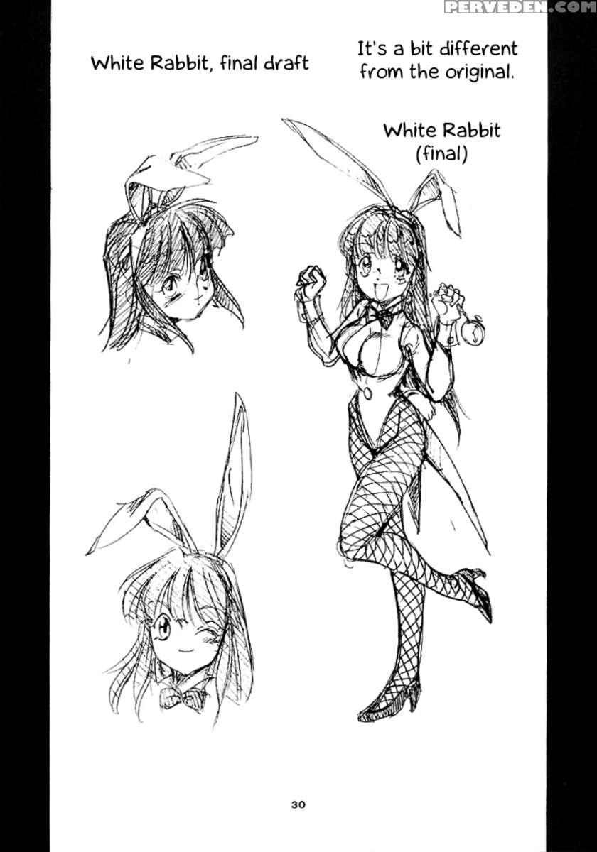 Alice In Slave Land 1