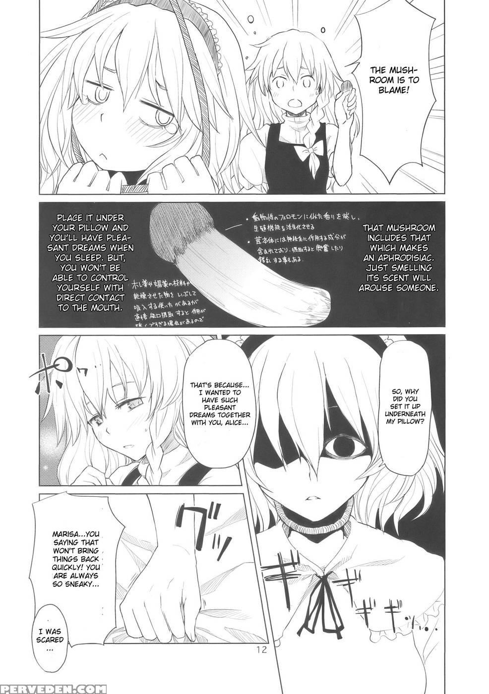 Alice No Jikan - Touhou 1