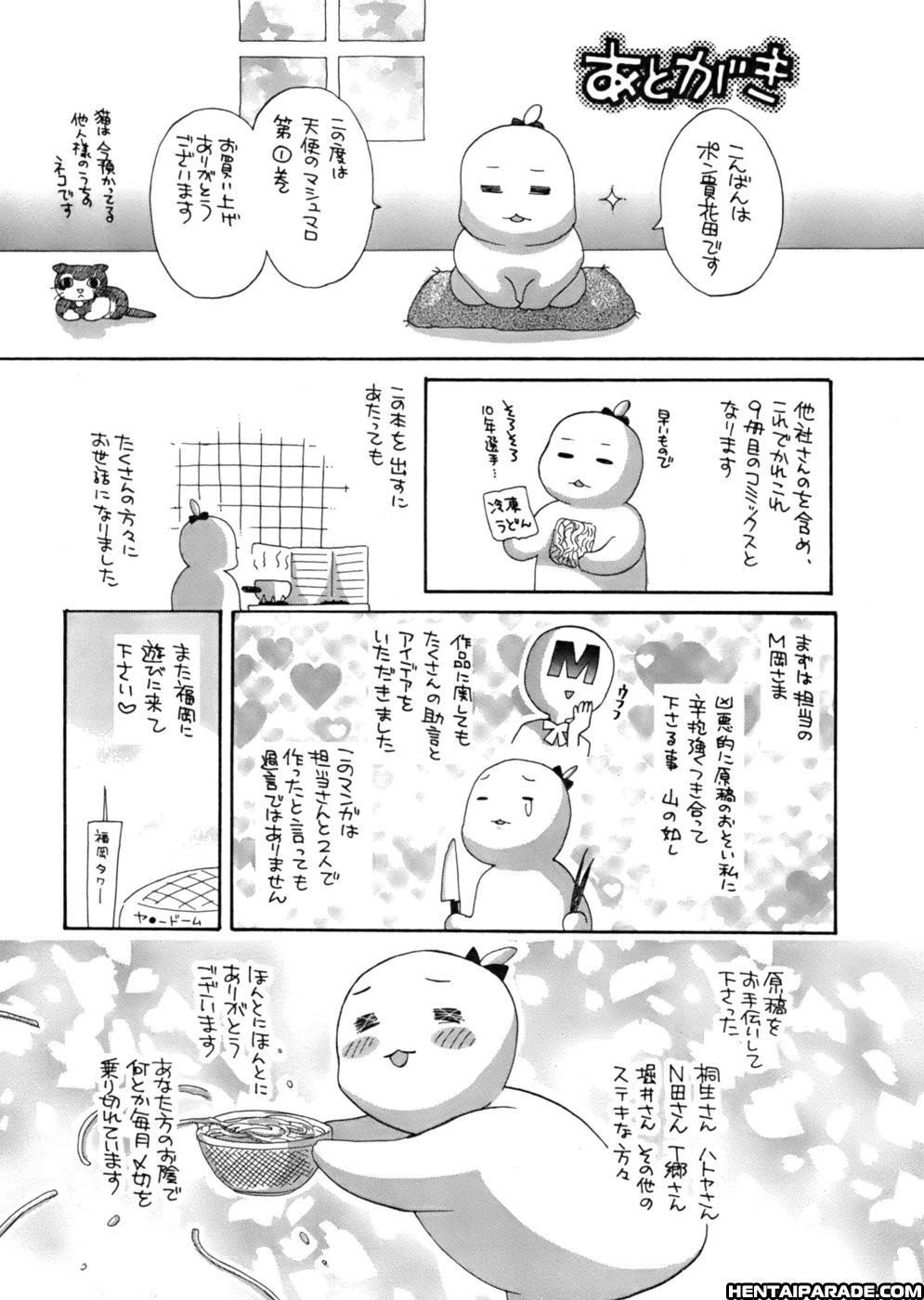 An Angel's Marshmallow 8
