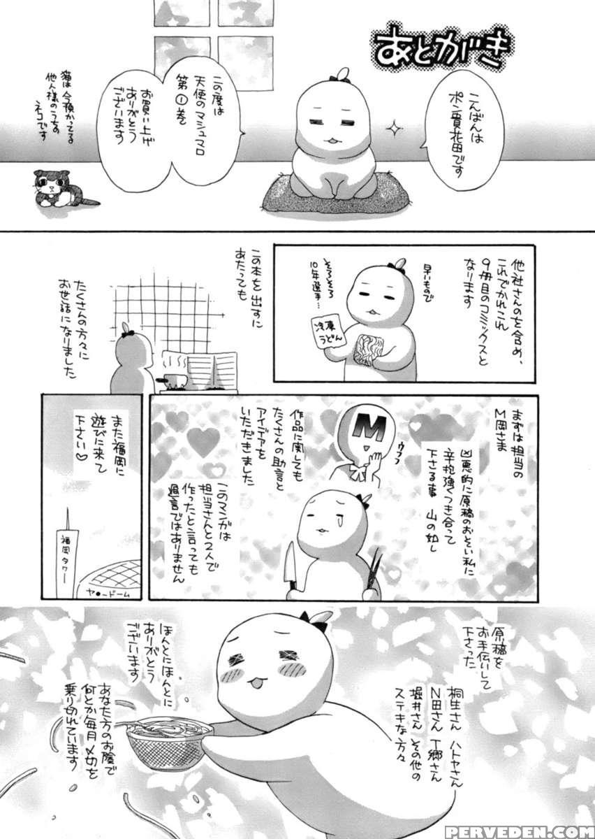An Angel's Marshmallows 1 1
