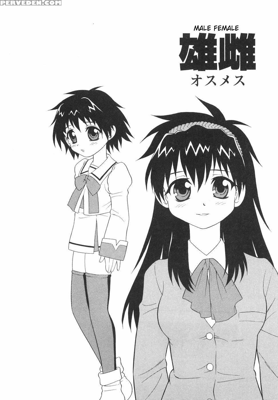Anadori Gataki Bokura 4