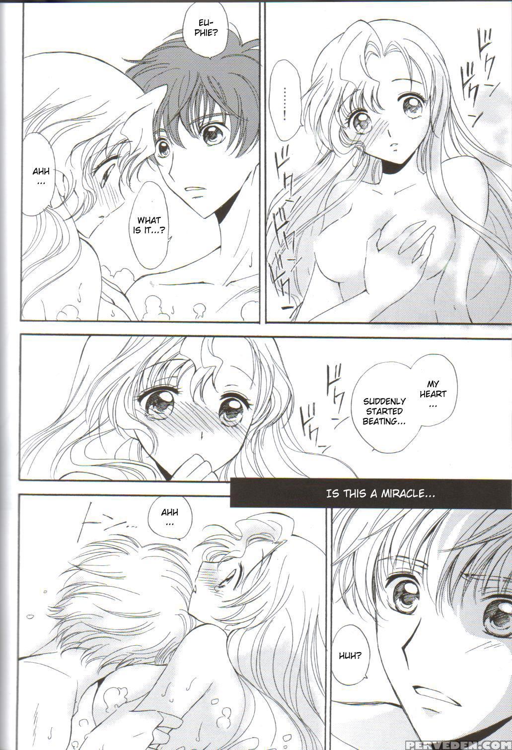 Angel Feather 2 - Code Geass 1
