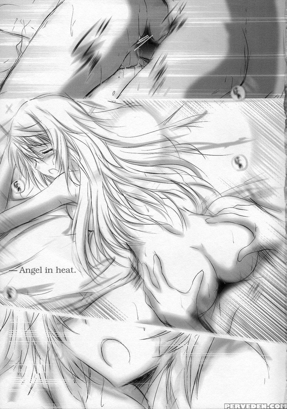 Angel Night - Infinite Stratoshaiyore! Nyaruko-san 1