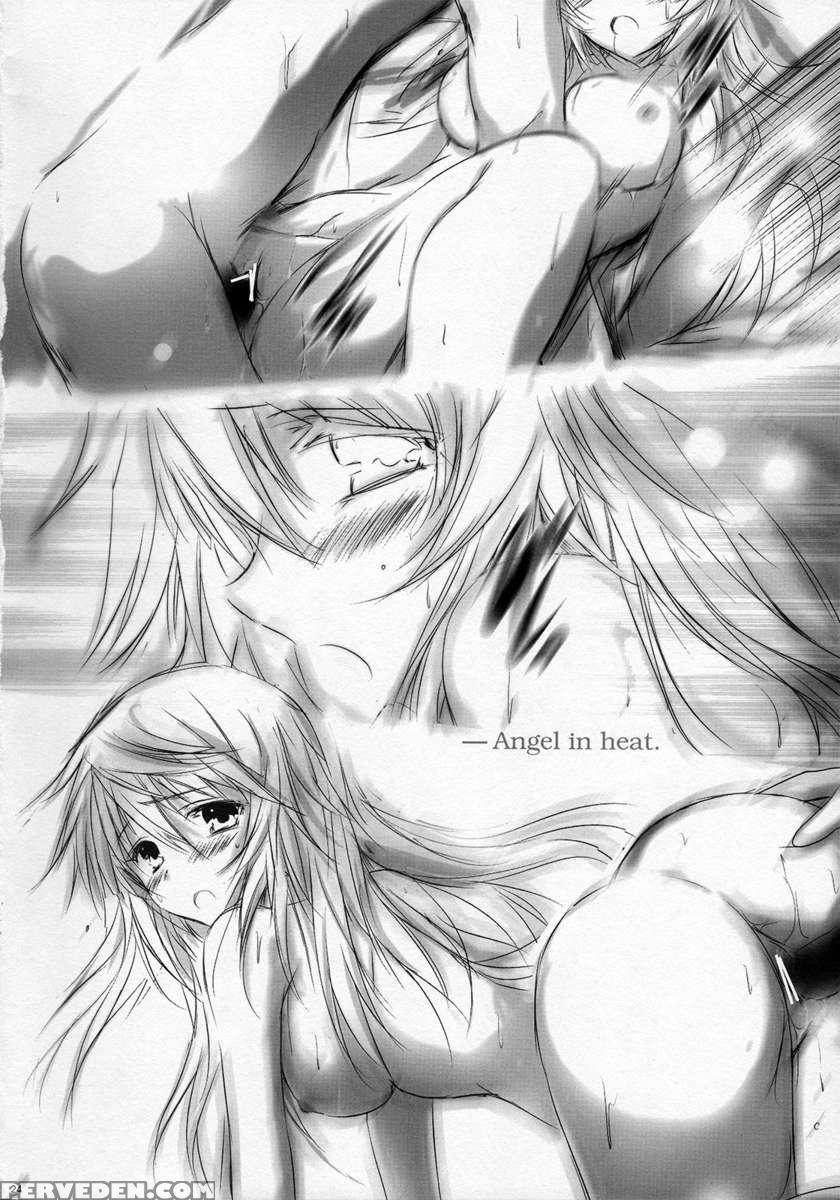 Angel Night 1