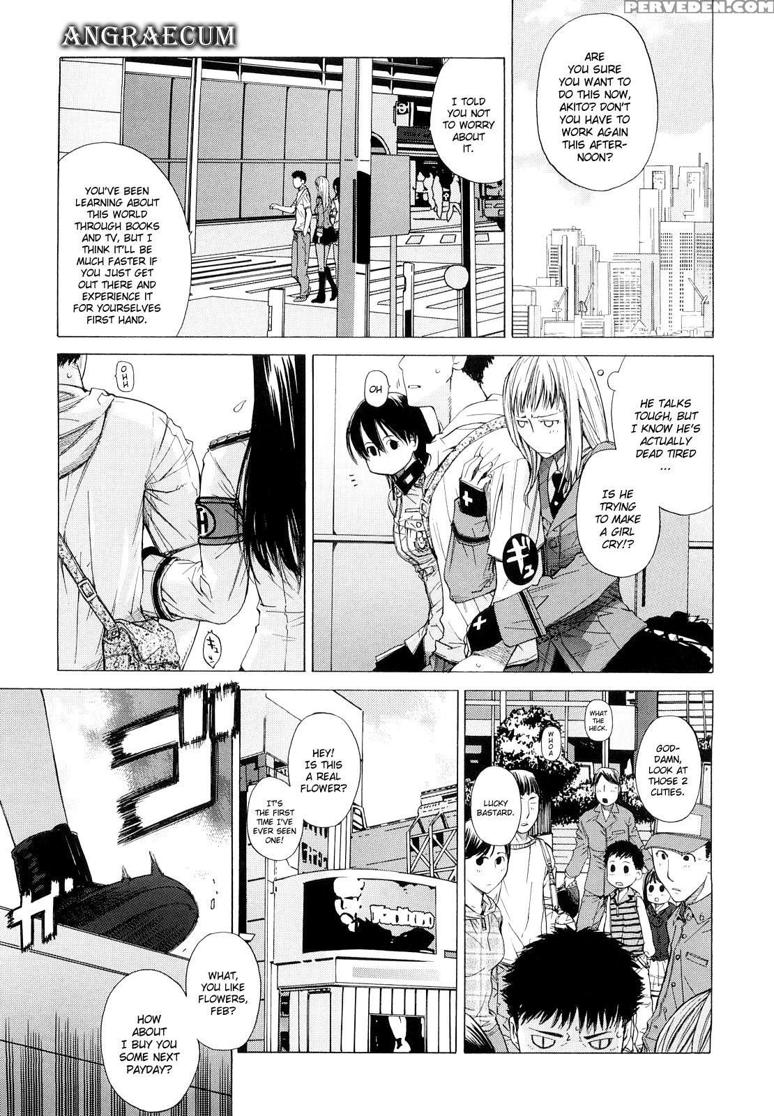 Angraecum 3