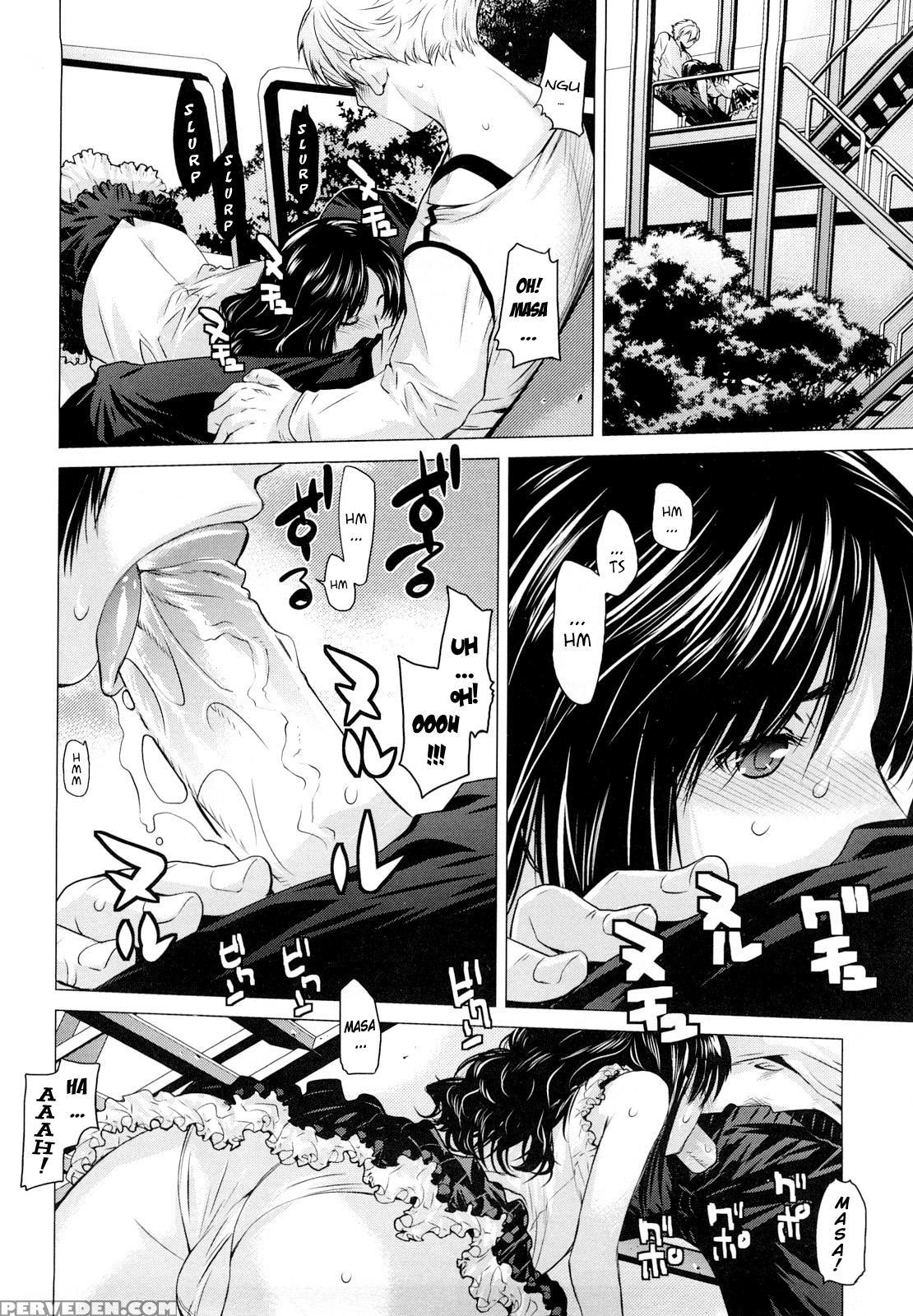 Angraecum 7