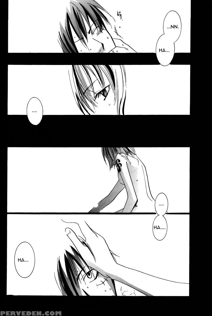 Aquatic Angel - One Piece 1