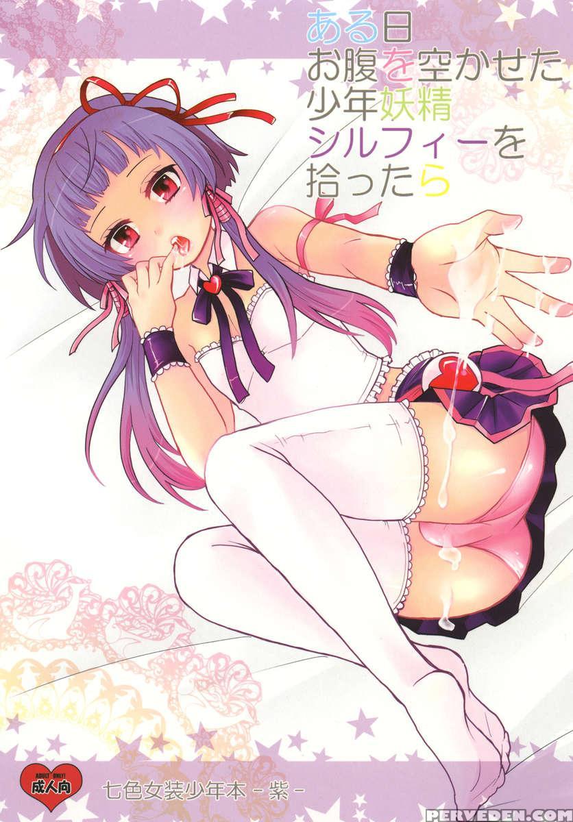 Aruhi Onaka Wo Sukaseta Shounen Yousei Sylphie Wo Hirottara 1