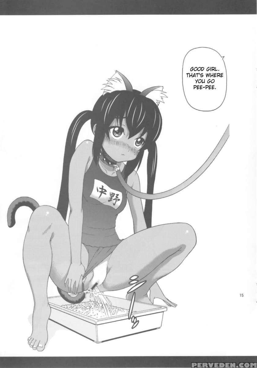 B-on! 1