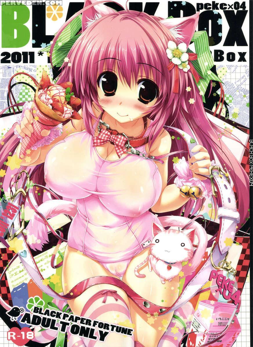 Bbox.peke4 1