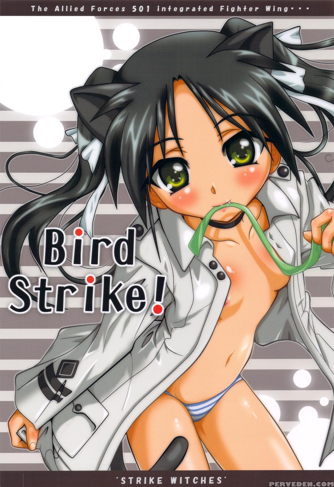 Bird Strike - Strike Witches 1