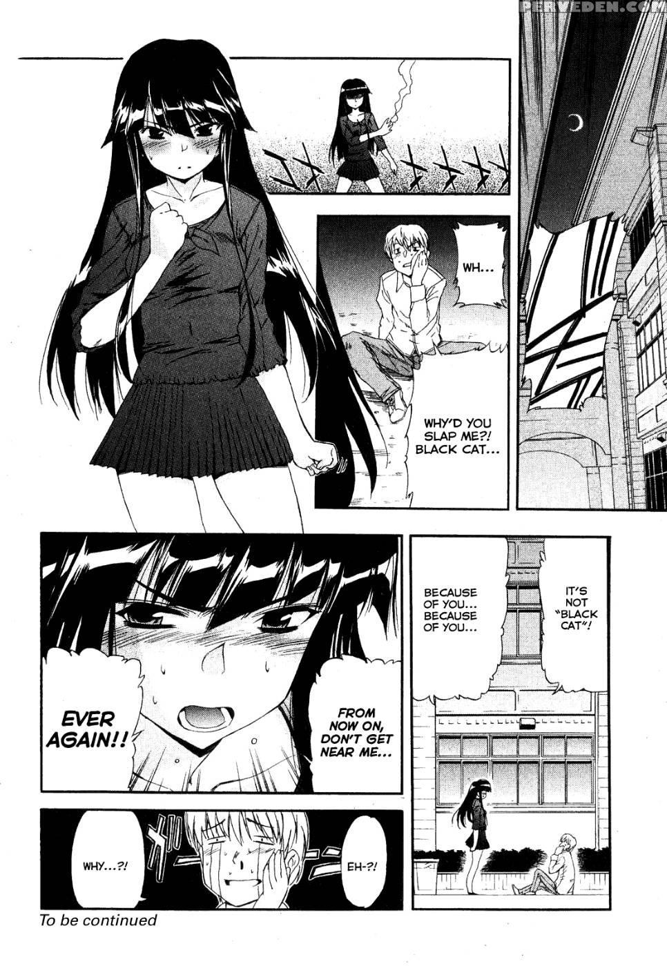 Black Cat Boogaloo 1 - Inu 1