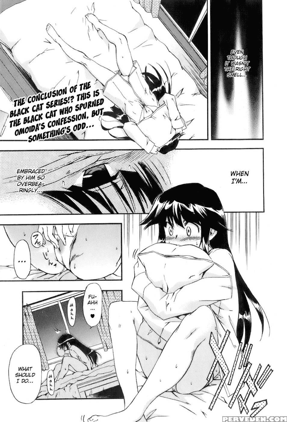 Black Cat Boogaloo 2 - Inu 1