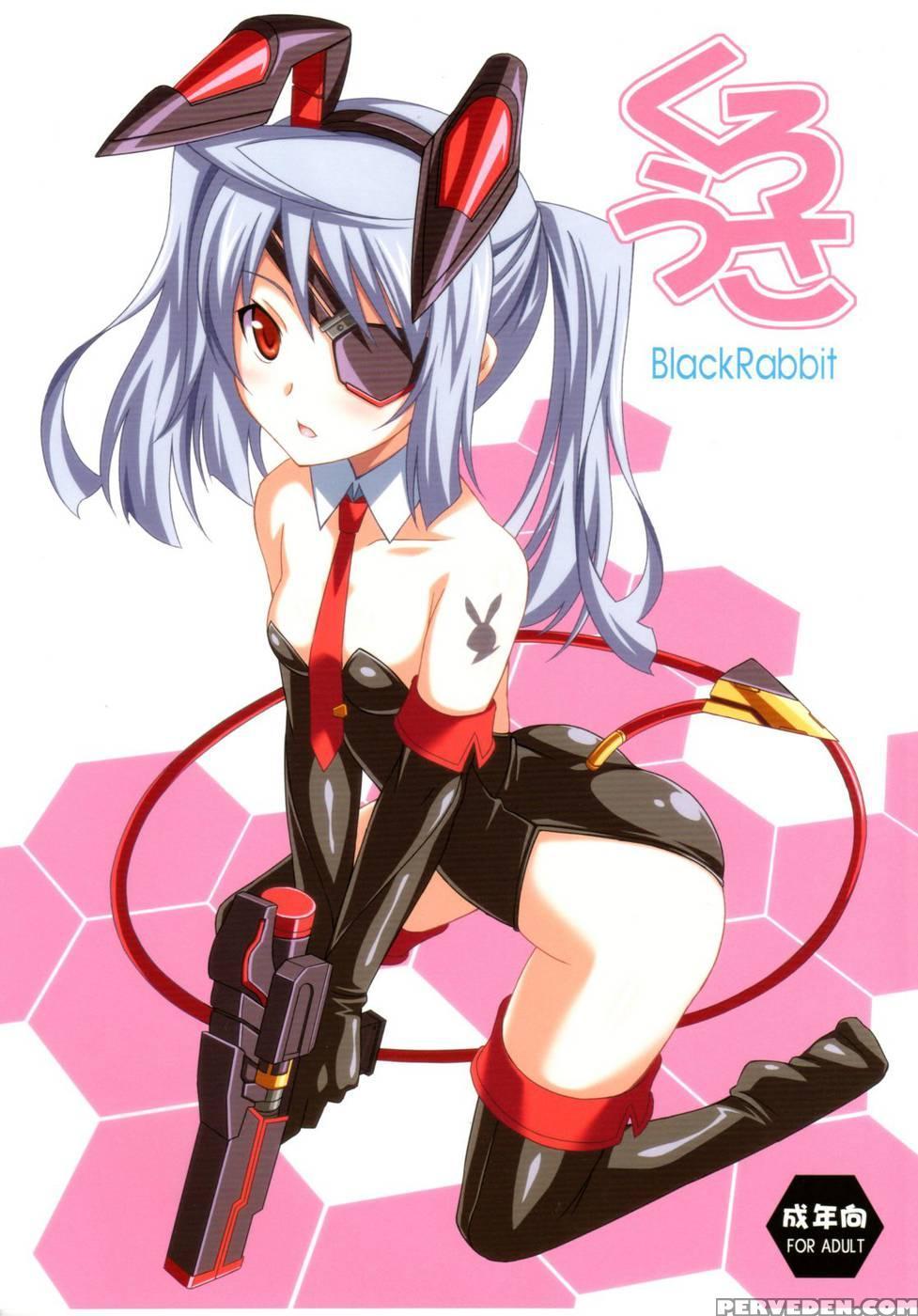 Black Rabbit - Infinite Stratos 1