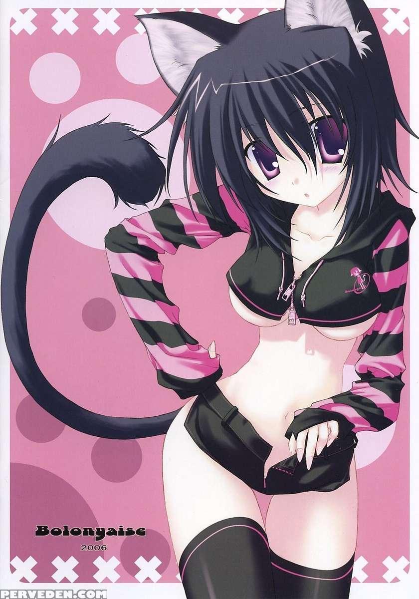 Black X Pink 1