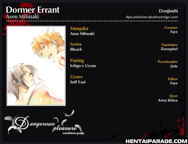 Bleach Dj - Dormer Errant 1