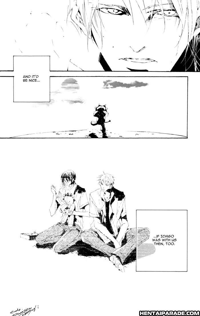 Bleach Dj - Dormer Errant 1