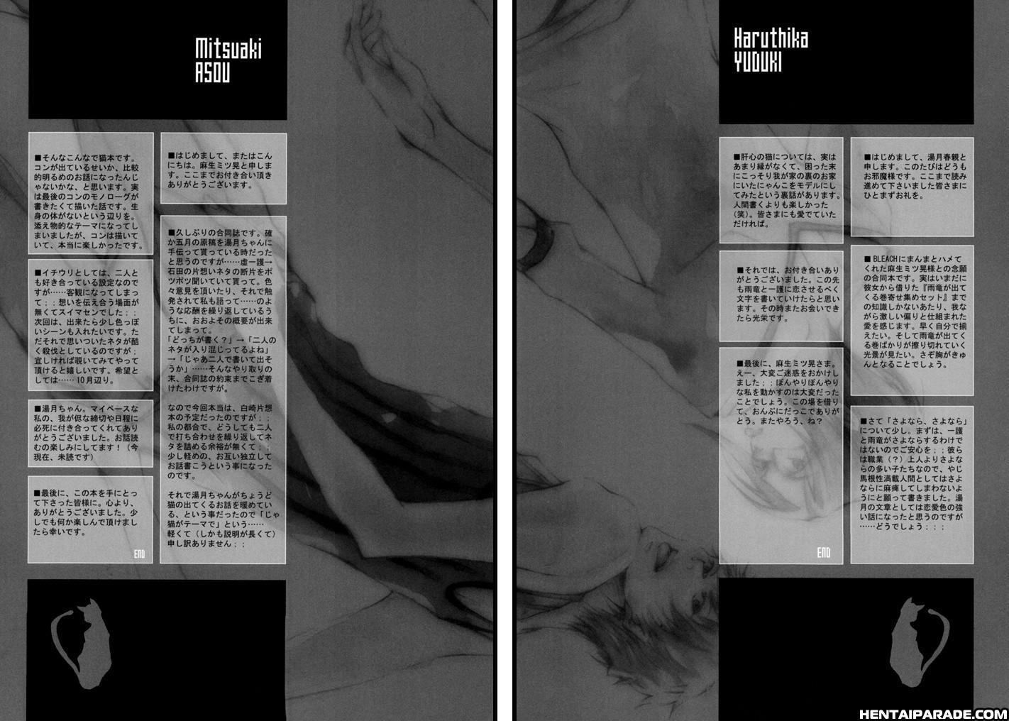 Bleach Dj - Dormer Errant 1