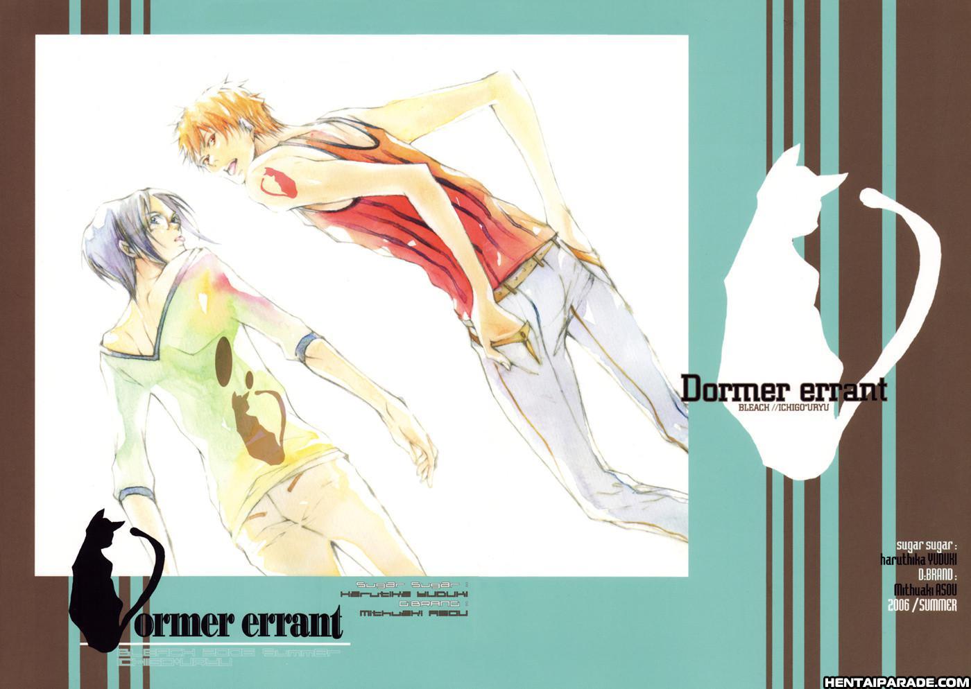 Bleach Dj - Dormer Errant 1