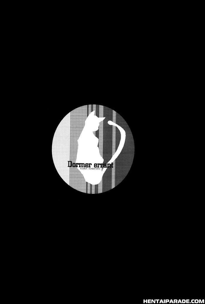 Bleach Dj - Dormer Errant 1