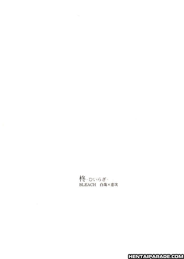Bleach Dj - Hiiragi 1