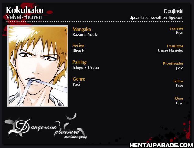 Bleach Dj - Kokuhaku 1
