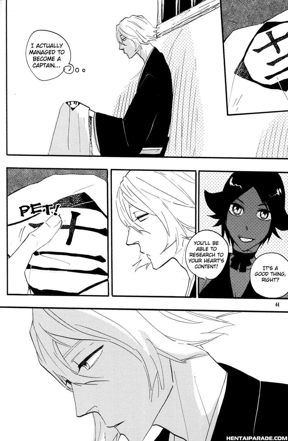 Bleach Dj - Picaresque 1