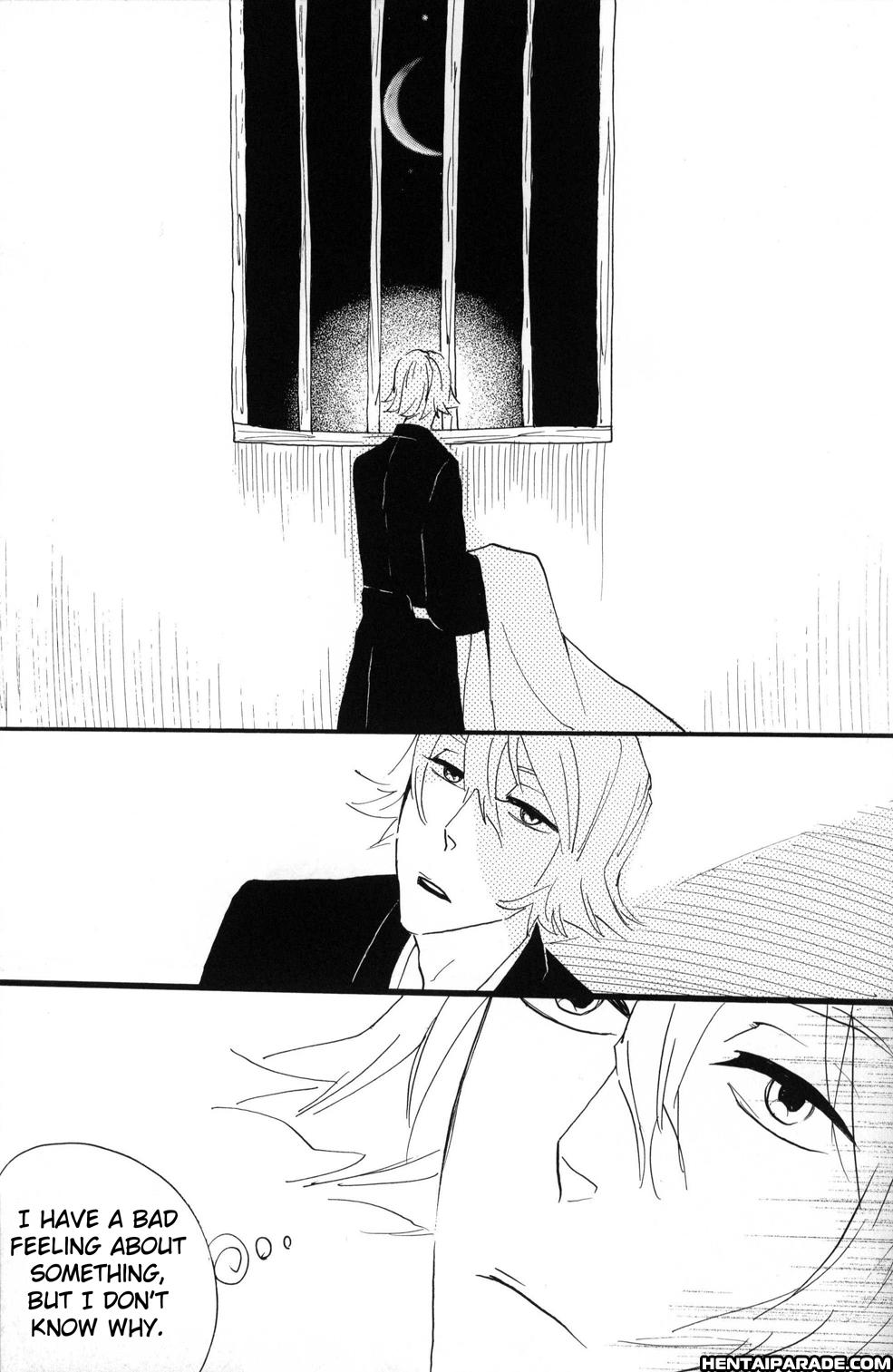 Bleach Dj - Picaresque 1