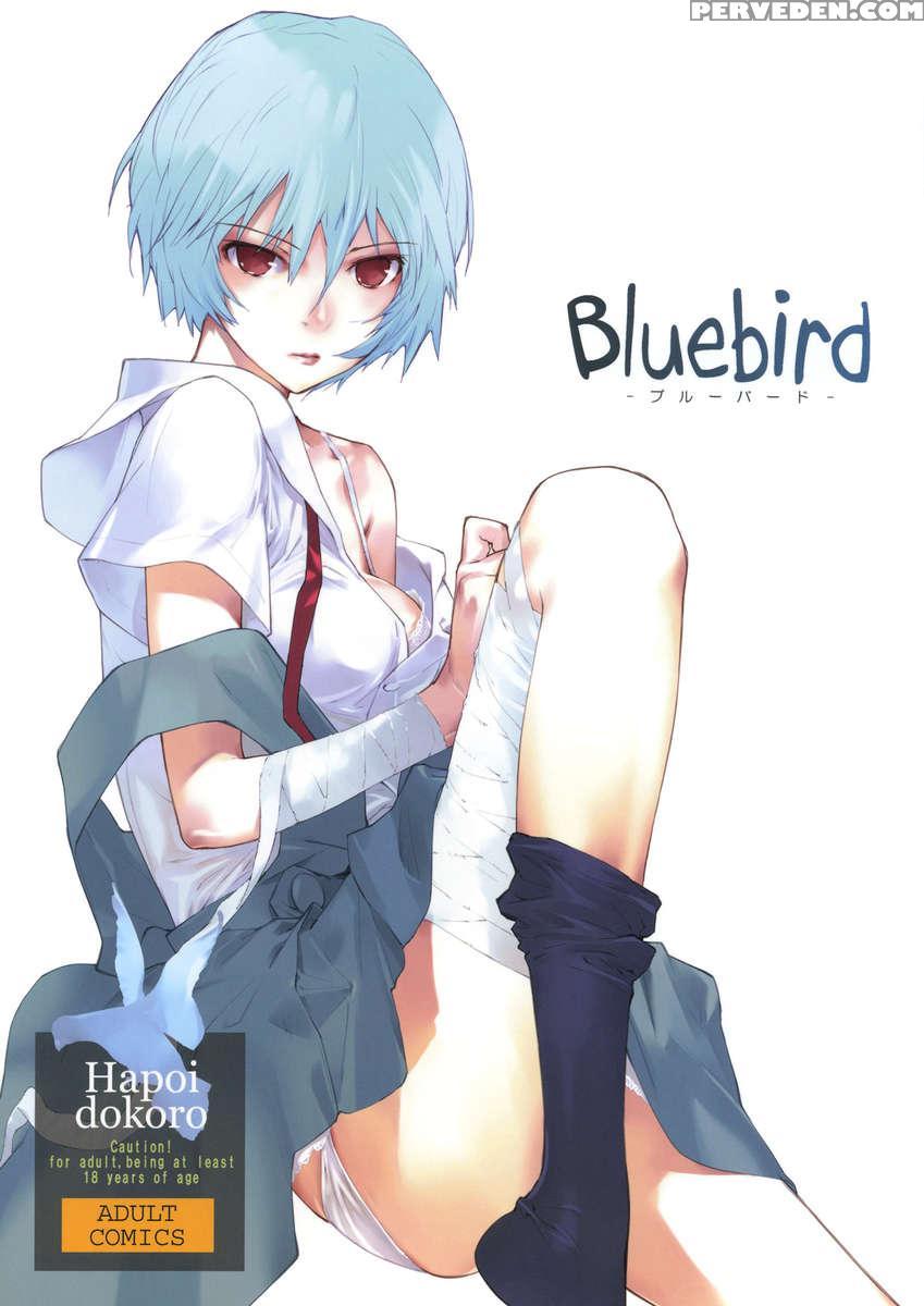 Bluebird 1