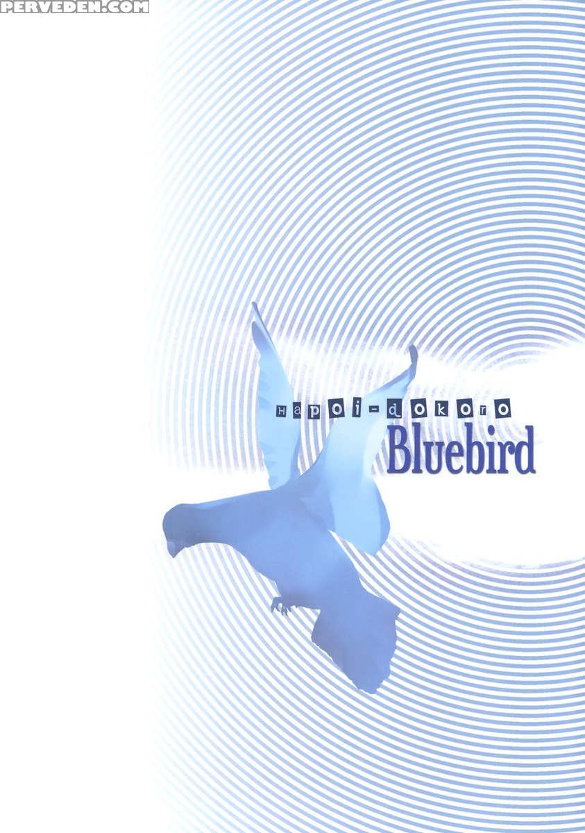 Bluebird 1