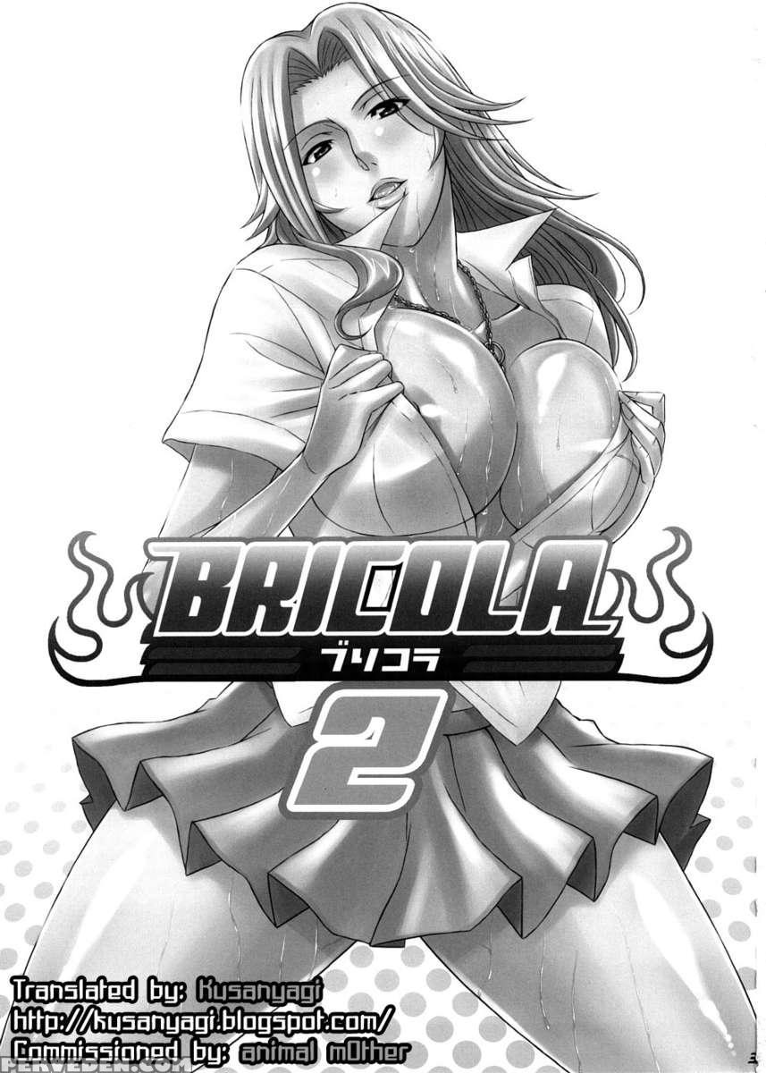Bricola 2 1