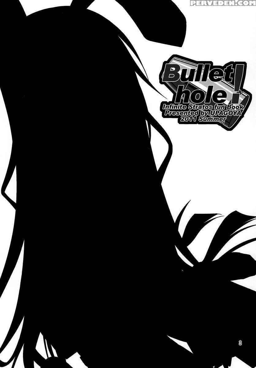 Bullet Hole! 1