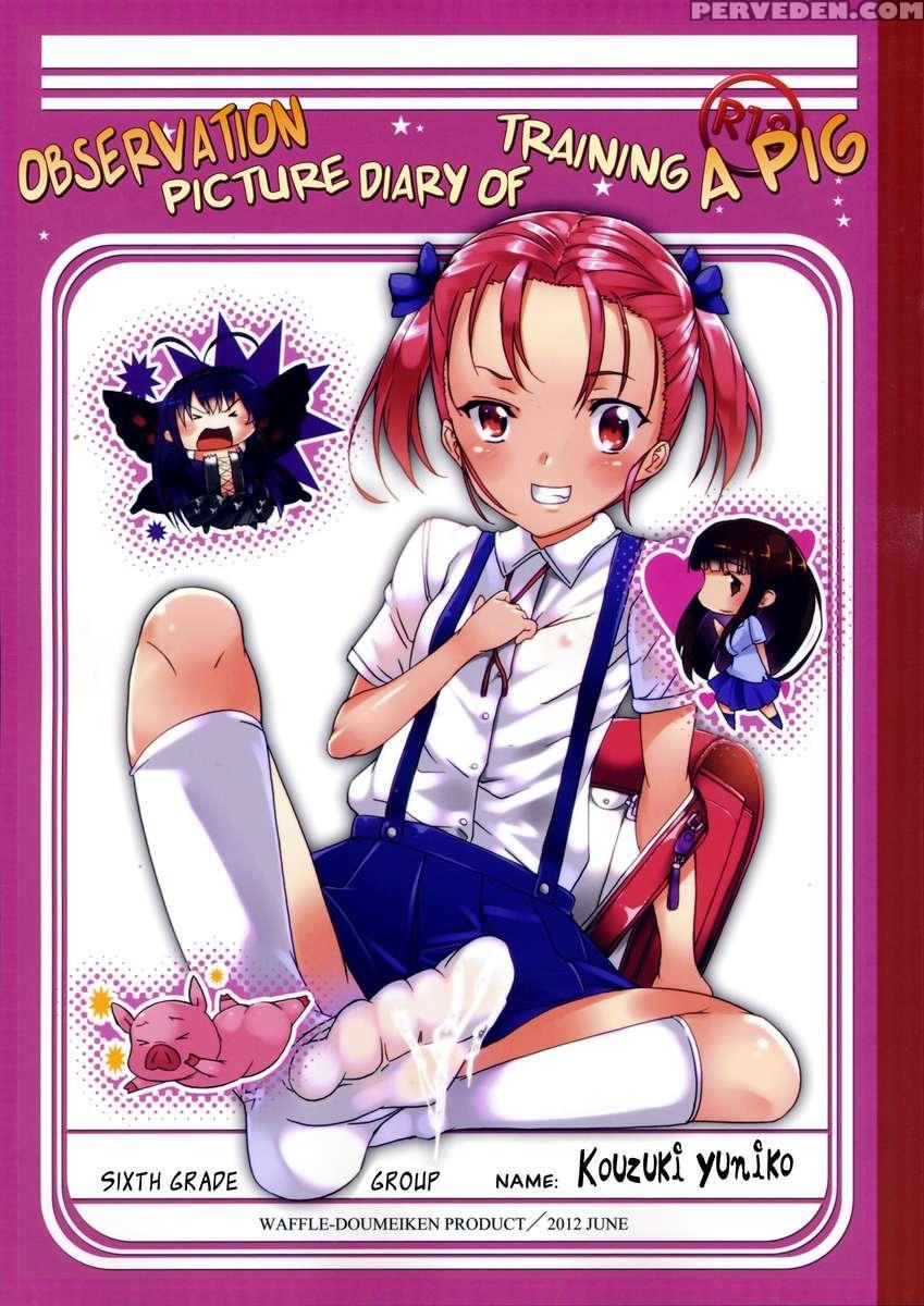 Buta-san Choukyou Kansatsu Enikki 1