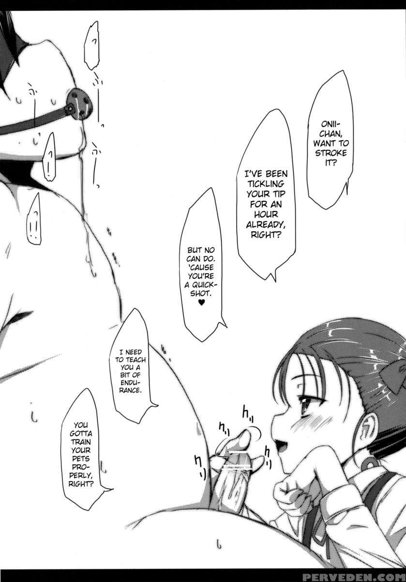 Buta-san Choukyou Kansatsu Enikki 1