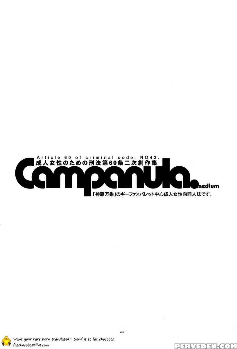 Campanula.medium 1