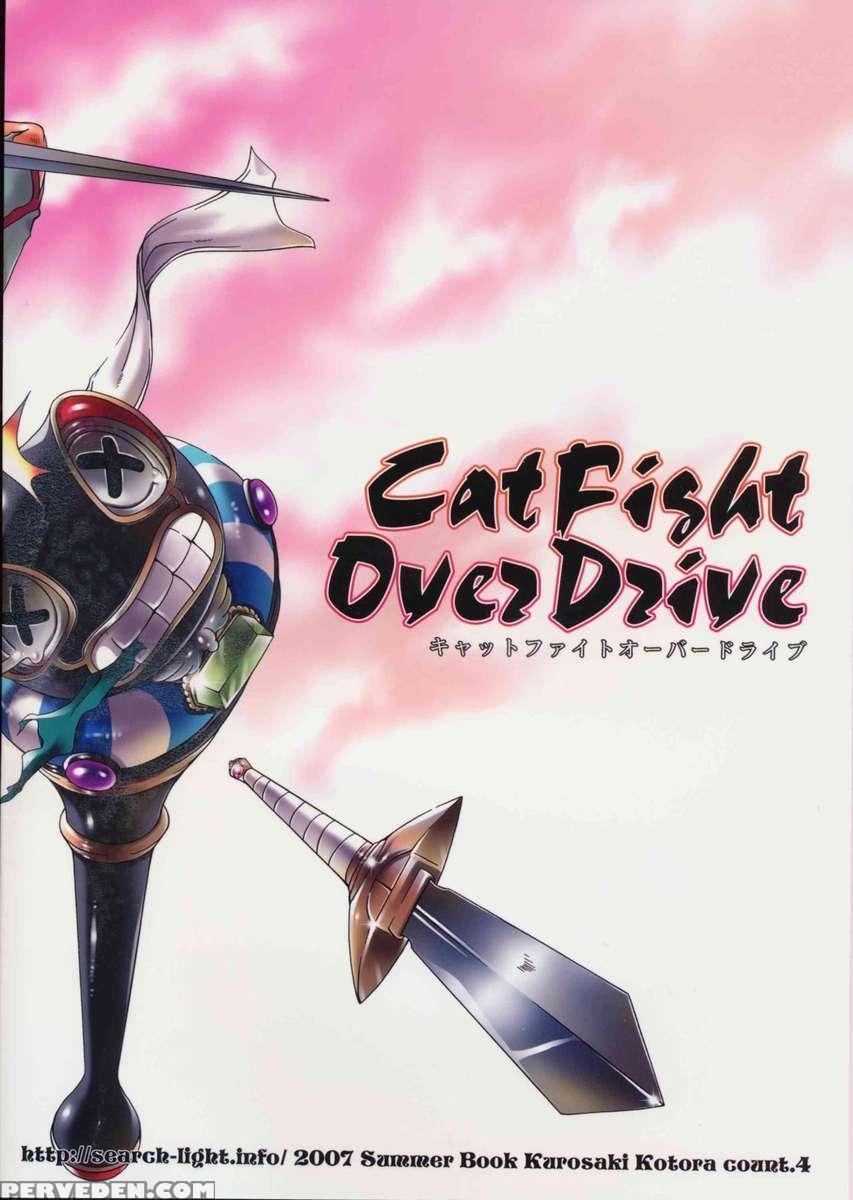 Cat Fight Over Drive 1