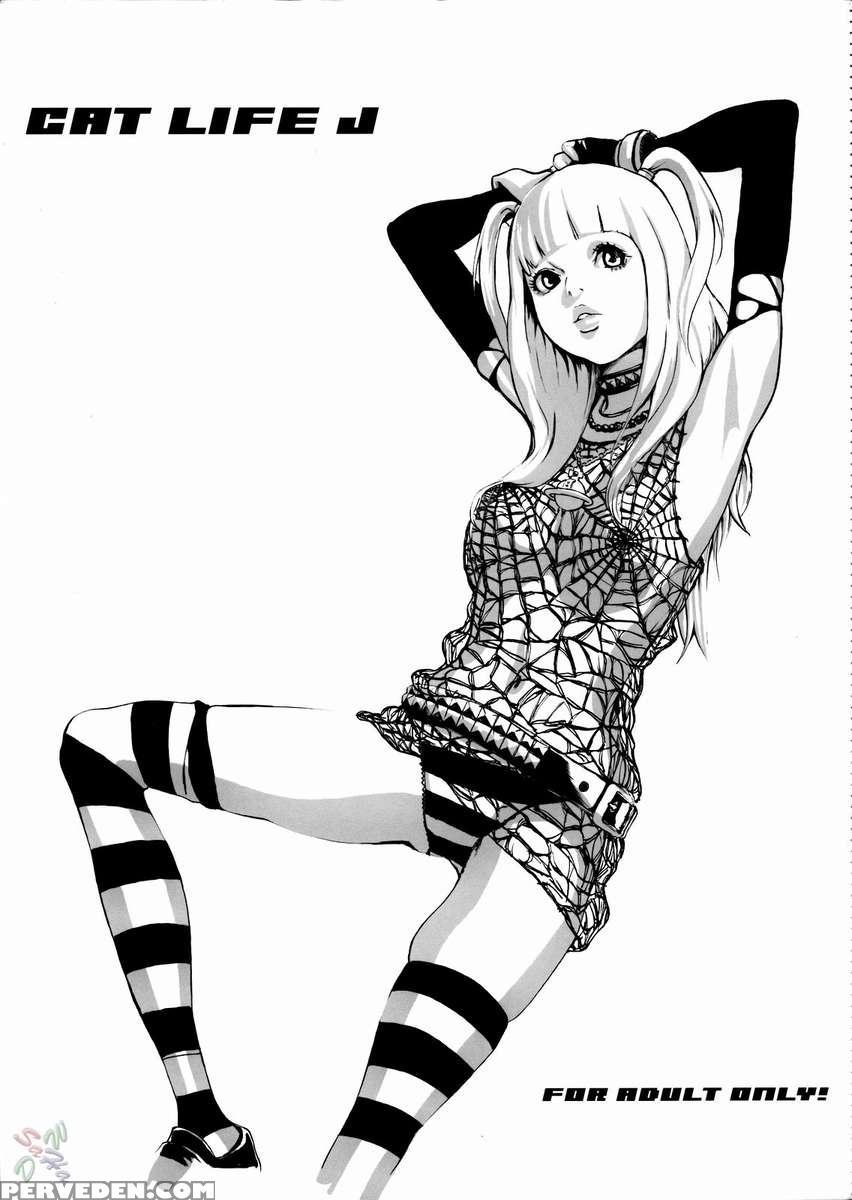 Cat Life J 1