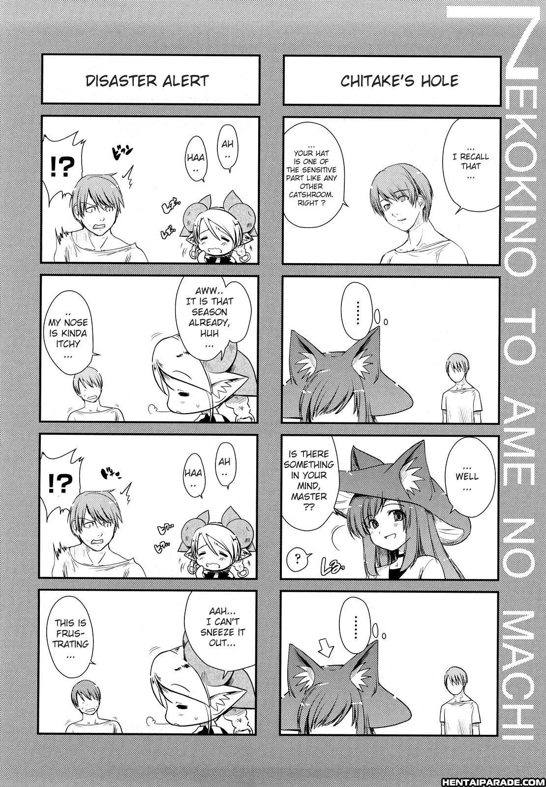 Cat Mushroom Girl And Town Of Rain 3.5